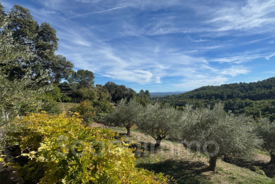Maison à vendre cabanon terrain var 