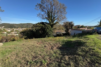 terrain &agrave; vendre &agrave; PÉGOMAS    