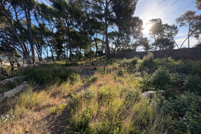 terrain &agrave; vendre &agrave; OLLIOULES   - 3000 m&sup2; 