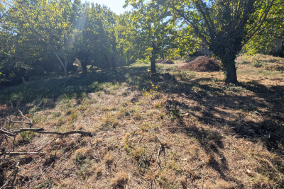 terrain à vendre à CAUSSE-DE-LA SELLE La Périphérie  - 798 m² 