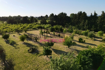 terrain à vendre à L'ISLE-SUR-LA-SORGUE Sud Est  - 1476 m² 