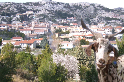 Commerce à vendre à LE ROVE Vaufreges-Leon Lachamp   