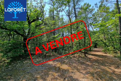 terrain à vendre à ST-TRINIT Saint-Didier  - 20041 m² 