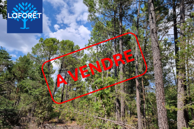 terrain à vendre à ST-TRINIT Grillon  - 11856 m² 