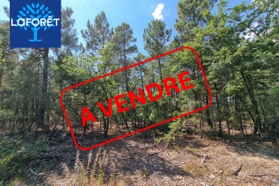 terrain à vendre à ST-TRINIT Saint-Didier  - 7032 m² 