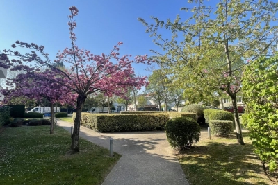 Appartement à vendre immeuble bois centre 