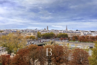 Appartement à vendre vue sur la seine paris 