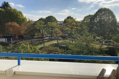 Appartement à vendre immeuble bois centre 