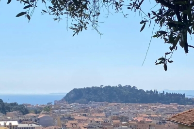 Maison à vendre villas mont boron 