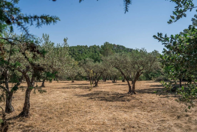 terrain à vendre à FLAYOSC   - 1615 m² 