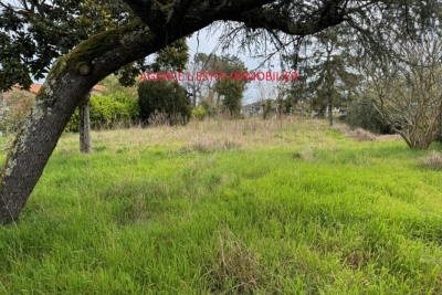 terrain à vendre à GUJAN-MESTRAS   - 788 m² 