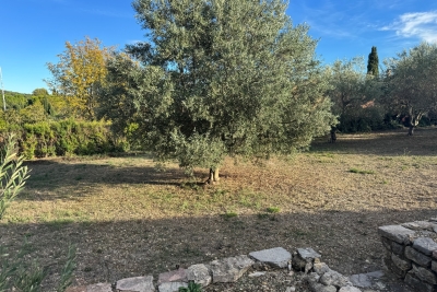 terrain à vendre à LORGUES    