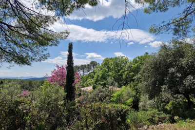 terrain à vendre à FLAYOSC   - 1799 m² 