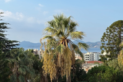 Appartement &agrave; louer &agrave; CANNES Montfleury - 3 pi&egrave;ces - 70 m&sup2; 