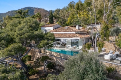 Maison à vendre terrasse vue mer palmiers