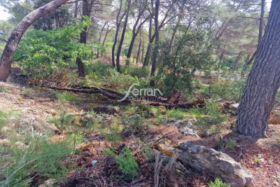 terrain à vendre à SALERNES   - 515 m² 