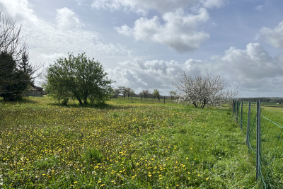 terrain à vendre à GERMIGNAC   - 2249 m² 