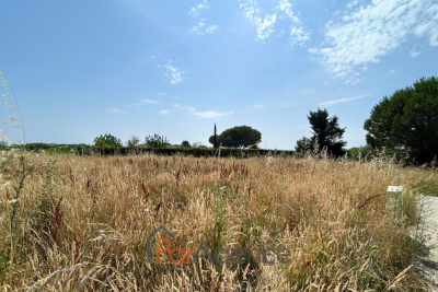 terrain à vendre à ST PALAIS SUR MER   - 485 m² 