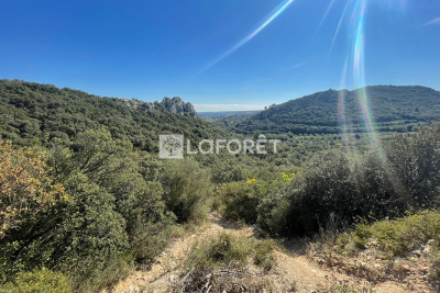 terrain &agrave; vendre &agrave; ST-BONNET-DU-GARD   - 11260 m&sup2; 