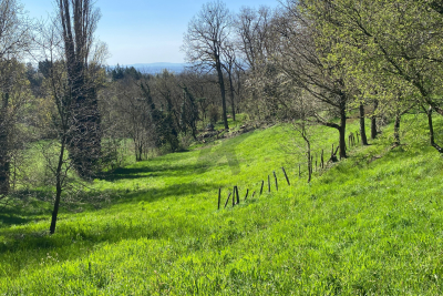 terrain à vendre à LIMONEST   - 5318 m² 