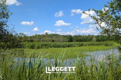 terrain à vendre à IZON    
