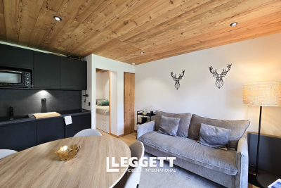 Appartement à vendre appartements vendre belleville 4 