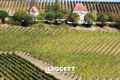 Maison à vendre à ST MONT  - 10 pièces - 370 m² 