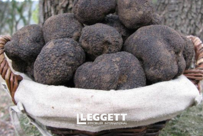 Commerce à vendre à BAYAC    