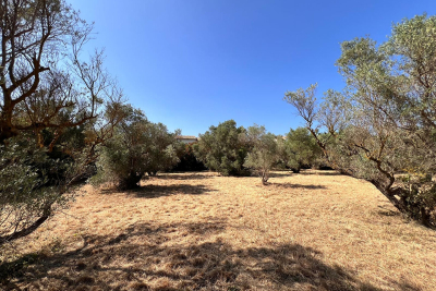 terrain à vendre à PARADOU Antoine Maille  - 2315 m² 