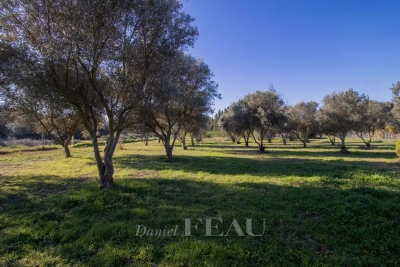 terrain à vendre à ST-RÉMY-DE-PROVENCE Le Planet-Bonjour-Collet Rouge  - 1500 m² 
