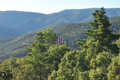 terrain à vendre à BORMES-LES-MIMOSAS Valescure Est-Aiguebonne  - 23610 m² 