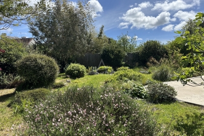 Maison à vendre rdc terrasse 