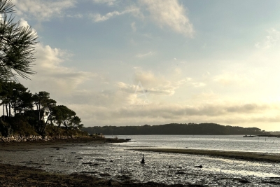 Maison à vendre villa terrasse ouest 1