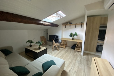 Appartement à vendre appartement avec cachet toulouse
