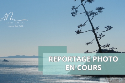 Maison à vendre à RAYOL-CANADEL-SUR-MER Nord Rn7 - 4 pièces - 70 m² 