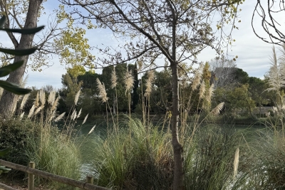 Maison à vendre maison vue bords 