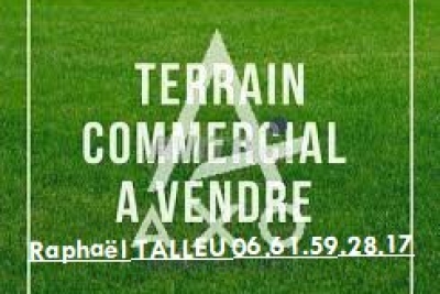 terrain à vendre hectares 