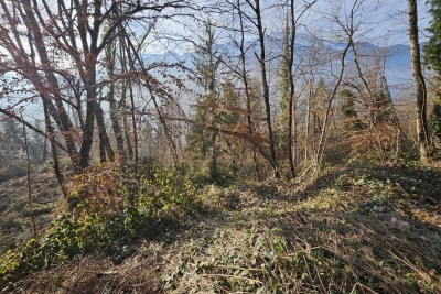 terrain à vendre à CESARCHES    