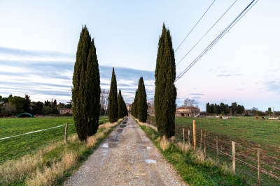 Maison à vendre à AIMARGUES Caissargues - 6 pièces - 260 m² 