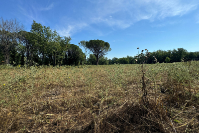 terrain à vendre à TOURRETTES Belgentier  - 1500 m² 