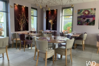 Commerce à vendre maisons 34