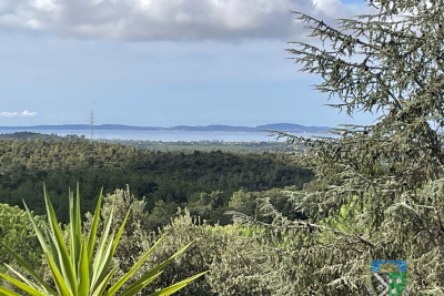 Maison à vendre jardin terrasse salle alpes