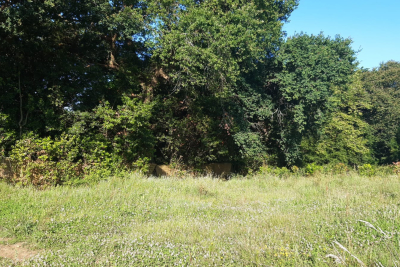 terrain à vendre terrains a vendre bourg 