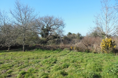 terrain à vendre à Crozon    