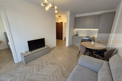 Appartement à vendre terrasse jardin centre ville