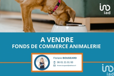 Commerce à vendre dinan 22100 dinan 