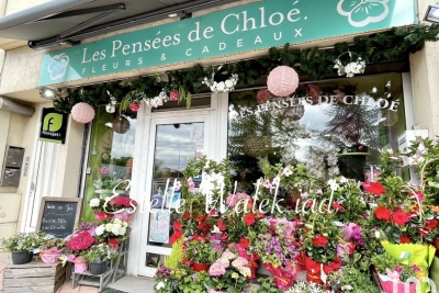 Commerce à vendre à DOMBASLE SUR MEURTHE   - 85 m² 