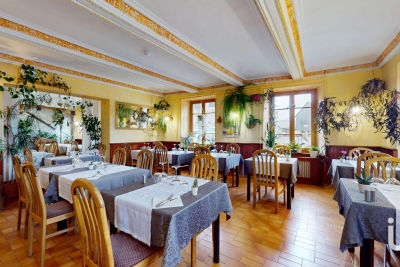 Commerce à vendre à BESSE ET ST ANASTAISE   - 606 m² 