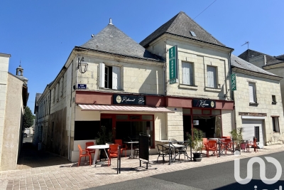 Bien à vendre à CHOUZE SUR LOIRE   - 445 m² 