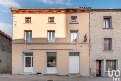 Commerce à vendre à ST DIDIER SOUS RIVERIE   - 250 m² 